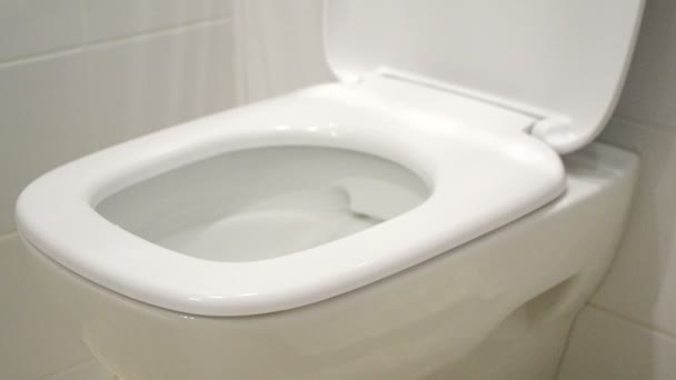 the water washes off the toilet bowl - Footage, Video