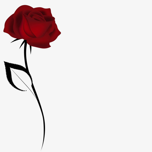 Floral background with a red velvet rose. - Vector, Image