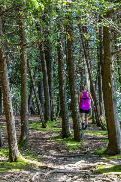 caminhante feminino em uma trilha através da floresta
 - Foto, Imagem