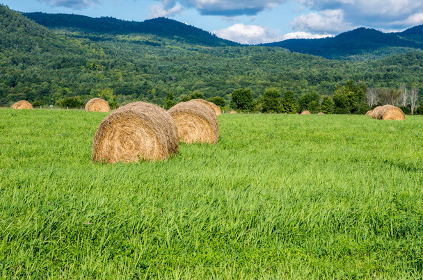 Hay Bales in a fiels - Photo, Image