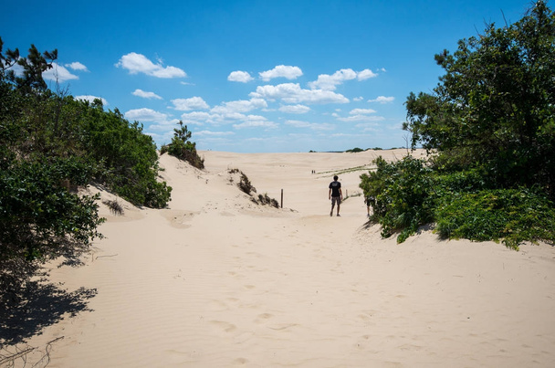 As dunas no cume do Jockey Outer Banks
 - Foto, Imagem