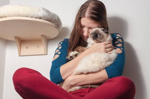 Young woman is hugging her Birman cat - Photo, Image