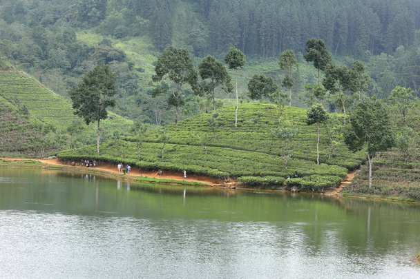 Přívod vody na Srí Lance a zásobníky - Fotografie, Obrázek