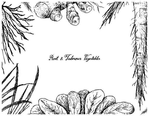 Marco dibujado a mano de raíces y verduras tuberosas
  - Vector, Imagen