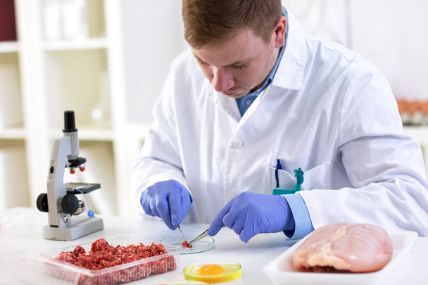 Scientist doing food control quality - Foto, afbeelding