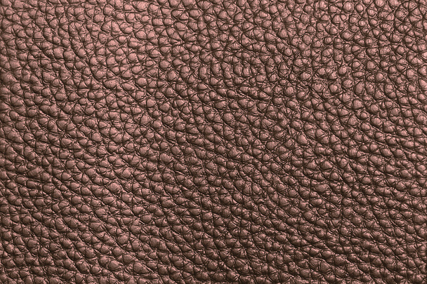 Textura de cuero marrón
 - Foto, Imagen