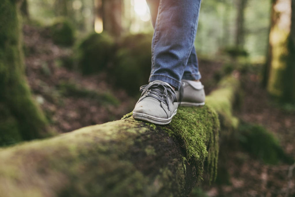 Woman walking on a log in the forest - 写真・画像