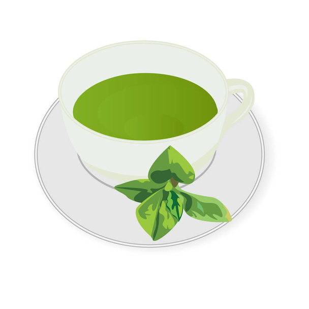 Peppermint tea vector illusstration - Vector, imagen