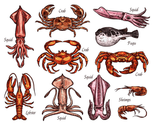 Sea animal sketches with fish and crustacean - Vector, Image