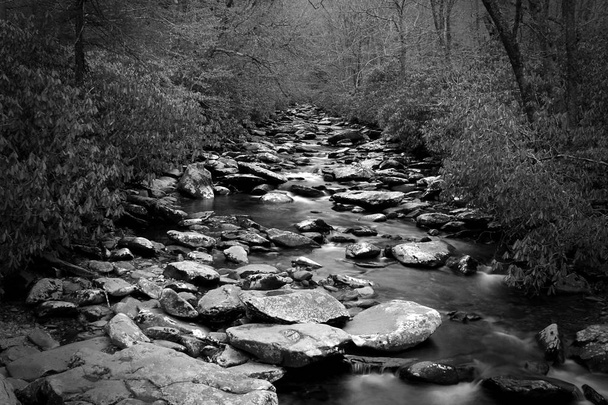 Perspektíva lassú zársebesség Waterscape Photography egy folyó, sok az erdőben kövekkel. - Fotó, kép