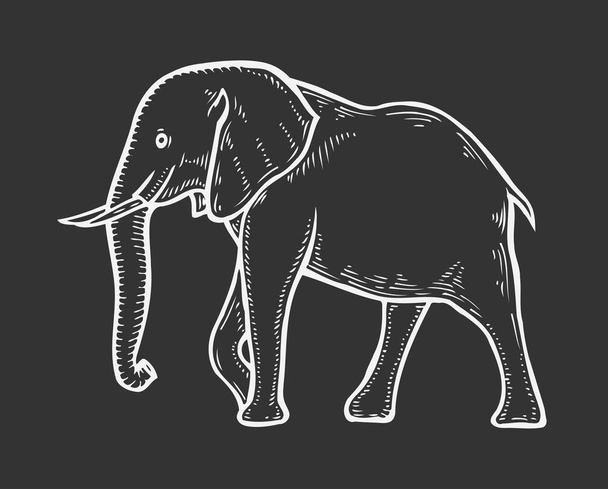 Elephant hand drawn - Vector, Image