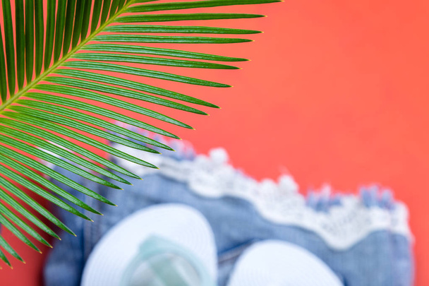 Tropische achtergrond Palm bomen takken met wazig instellen van vrouw dingen accessoires Beach seizoen. - Foto, afbeelding