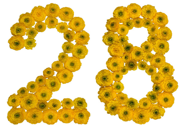Cyfry arabskie 28, dwadzieścia osiem, z żółtych kwiatów buttercu - Zdjęcie, obraz