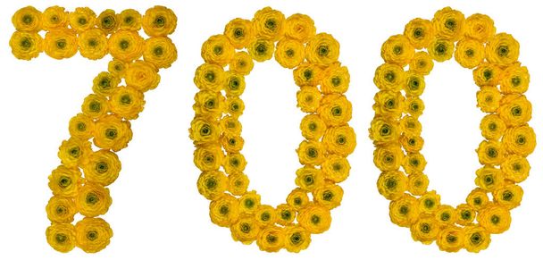Arabisch cijfer 700, zevenhonderd, van gele bloemen van boter - Foto, afbeelding