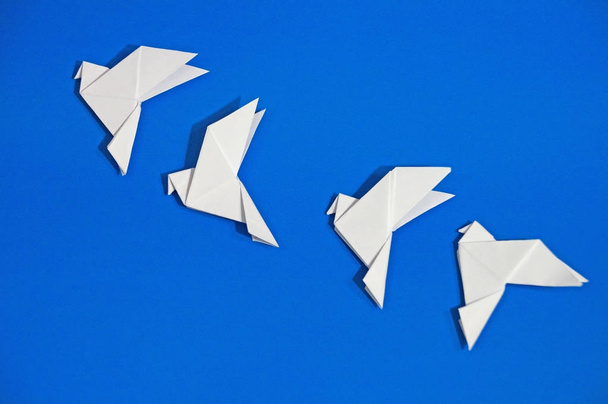Origami pigeons isolated on blue background. - Foto, imagen