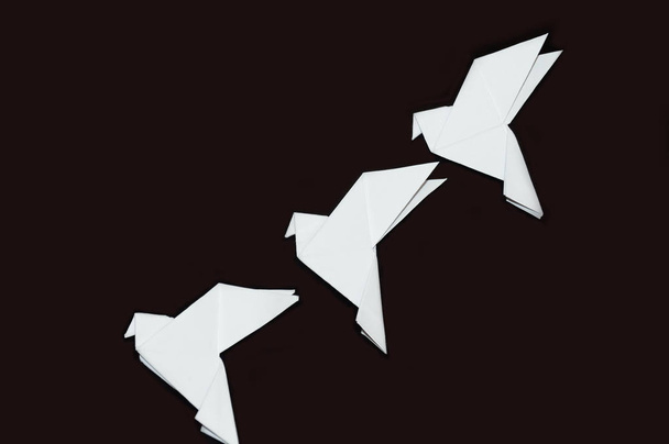 Palomas de origami aisladas sobre un fondo negro
. - Foto, imagen
