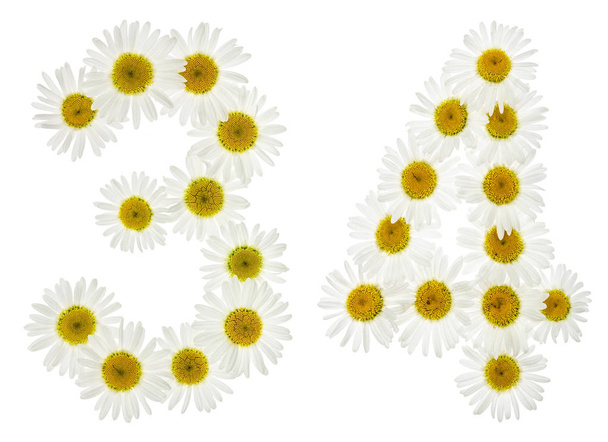 Arabic numeral 34, thirty four, from white flowers of chamomile, - Foto, imagen