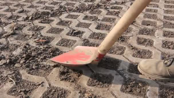 汚れを除去、赤シャベルと新しい配置された石畳を乾いた泥をこするは赤いシャベル ワーカーでこする. - 映像、動画