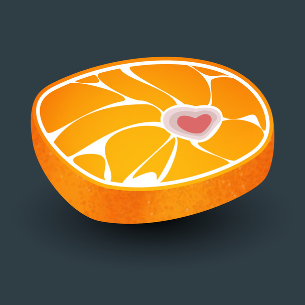 Orange with meat structure and bone in form heart. - Vector, Image