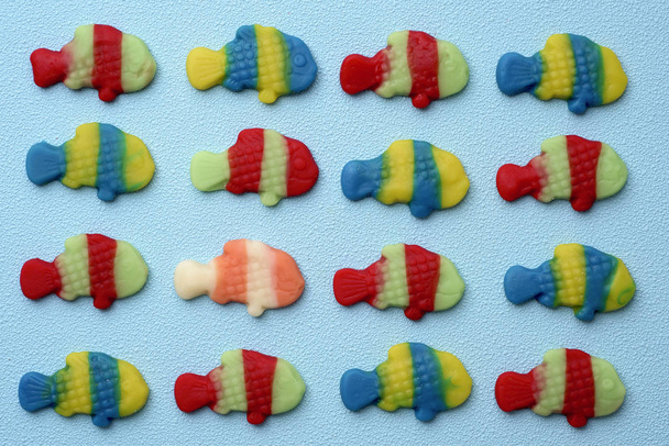 σχήμα ψαριού gummy καραμέλες - Φωτογραφία, εικόνα
