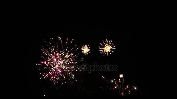 Zeitlupe schöner Feuerwerke getrennt auf schwarzem Hintergrund - Filmmaterial, Video
