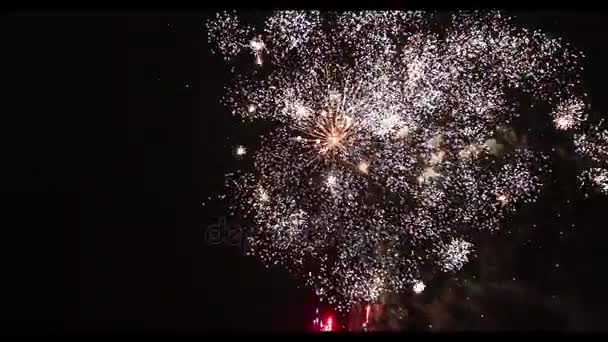 Lassú mozgás, külön a fekete háttér gyönyörű tűzijáték - Felvétel, videó