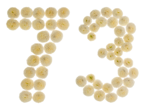 Арабская цифра 73, семьдесят три, из кремовых цветов хризанта
 - Фото, изображение