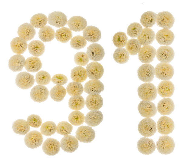 Арабская цифра 91, девяносто один, из сливочных цветов хризантемы
 - Фото, изображение