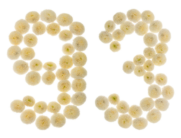 Números arábigos 93, noventa y tres, de flores de crema de crisantén
 - Foto, imagen