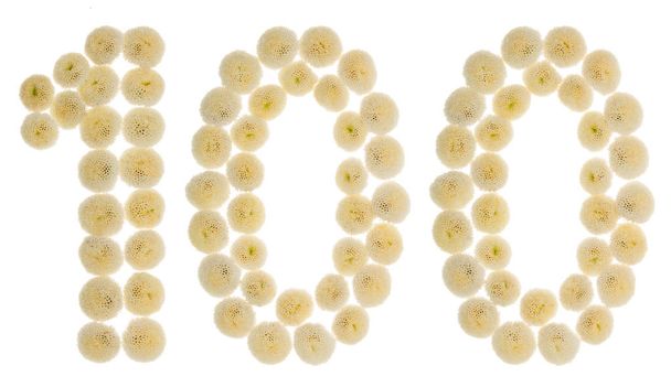 Números arábigos 100, cien, de flores de crema de crisantén
 - Foto, imagen
