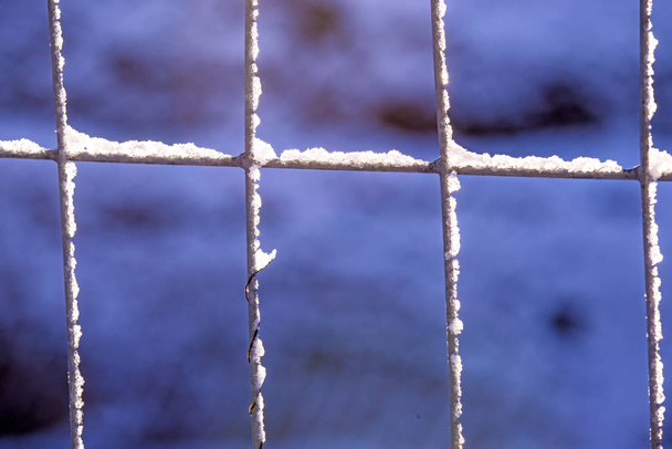 Zimní scéna, plot s sněhu cap - Fotografie, Obrázek