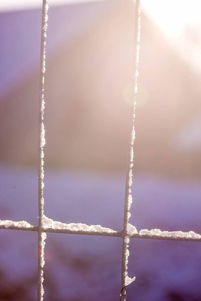 зимова сцена, паркан зі сніжною шапочкою
 - Фото, зображення