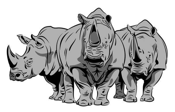 Imagem vetorial de um rinoceronte
 - Vetor, Imagem