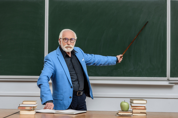 grey hair professor pointing on something at blackboard  - Valokuva, kuva