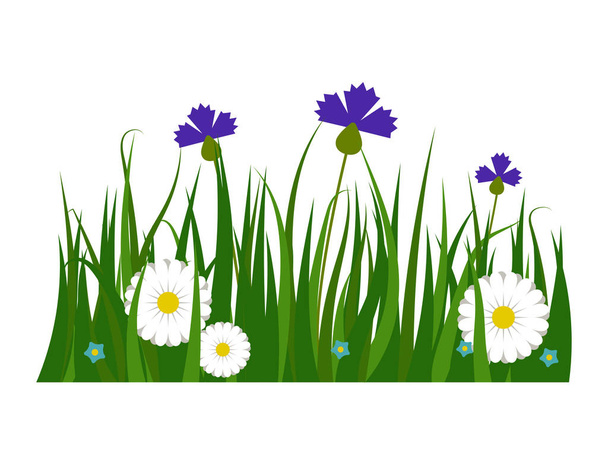 Green grass border plant lawn nature meadow ecology summer gardening vector illustration - Vetor, Imagem