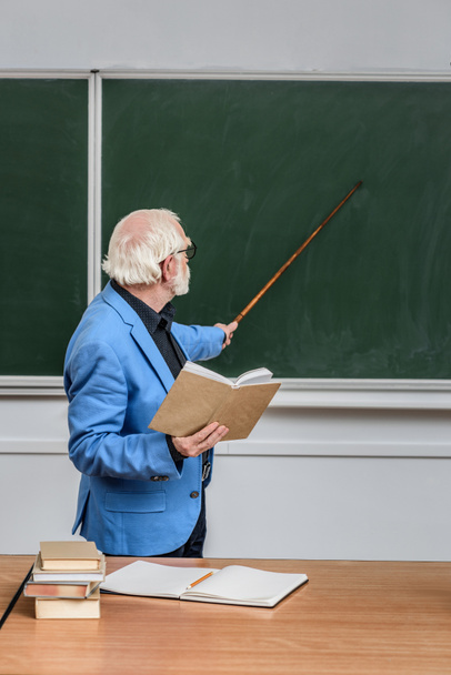 grijze haren hoogleraar boek houden en wijzen op iets op blackboard  - Foto, afbeelding