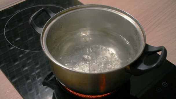 kochendes Wasser in einem metallenen Topf auf einem schwarzen Induktionsherd. - Filmmaterial, Video