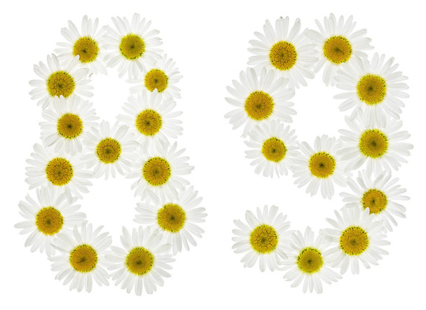 Cyfry arabskie 89, osiemdziesiąt dziewięć, z białych kwiatów rumianku, - Zdjęcie, obraz