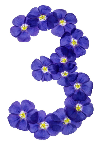 Arabic numeral 3, three, from blue flowers of flax, isolated on  - Photo, Image