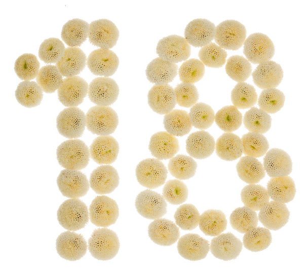 Arabic numeral 18, eighteen, from cream flowers of chrysanthemum - Photo, Image