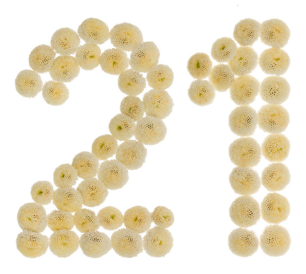 Arabská číslice 21, dvacet jedna, od smetany květů chrysanthem - Fotografie, Obrázek