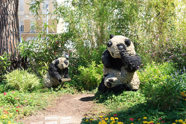 Ursos de panda feitos de flores e plantas no passeio de spa em Merano, Tirol do Sul
 - Foto, Imagem