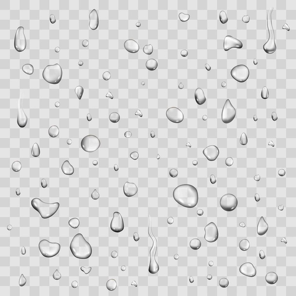 Pure Clear Water Drops - Vector, Image