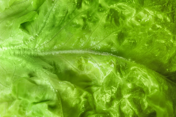 Leaf of fresh green salad, closeup - Фото, зображення