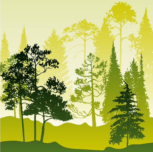 vector landscape with pine trees - Vector, Image