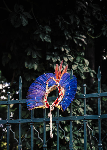 Рідна амазонських перо костюм капелюх - Фото, зображення