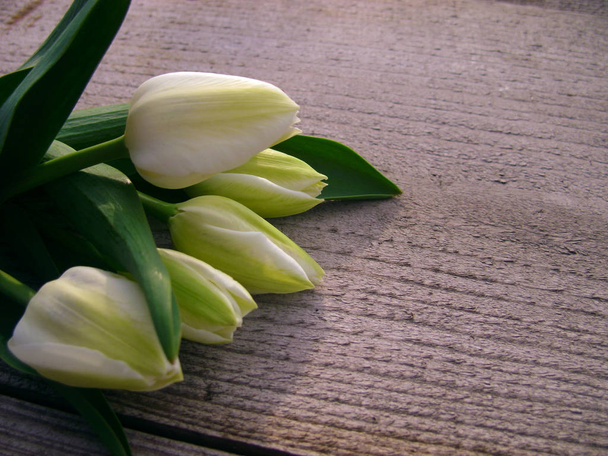 Tulipes sur fond en bois avec espace pour le message. Contexte de la fête des mères. Vue de dessus. Valentines fond de fête
 - Photo, image