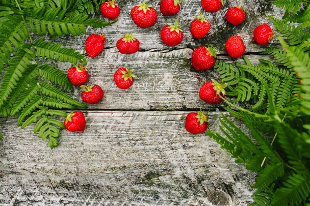 Strawberry on a wooden gray background, fern leaves, strawberry season, opy space for text, Top View. - 写真・画像