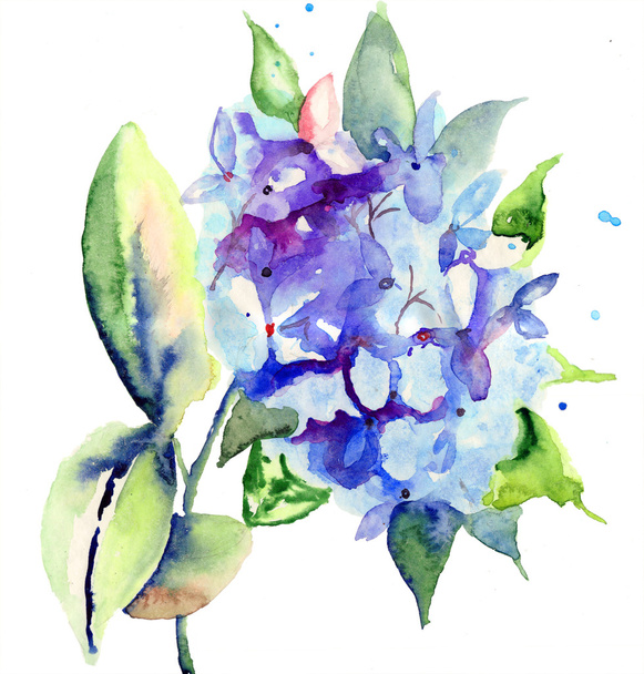 Beautiful blue flowers - Foto, afbeelding
