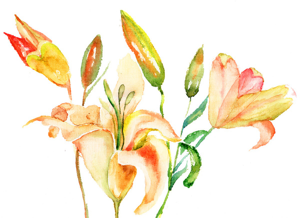 Yellow Lily flowers - Фото, изображение